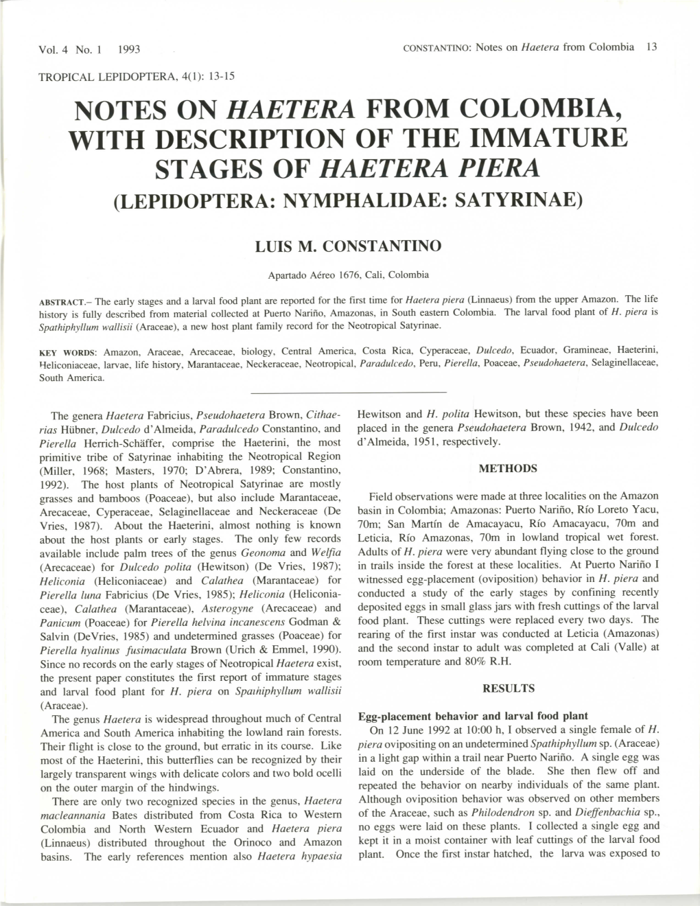 Notes on Haetera from Colombia, with Description of the Immature Stages of Haetera Piera (Lepidoptera: Nymphalidae: Satyrinae)