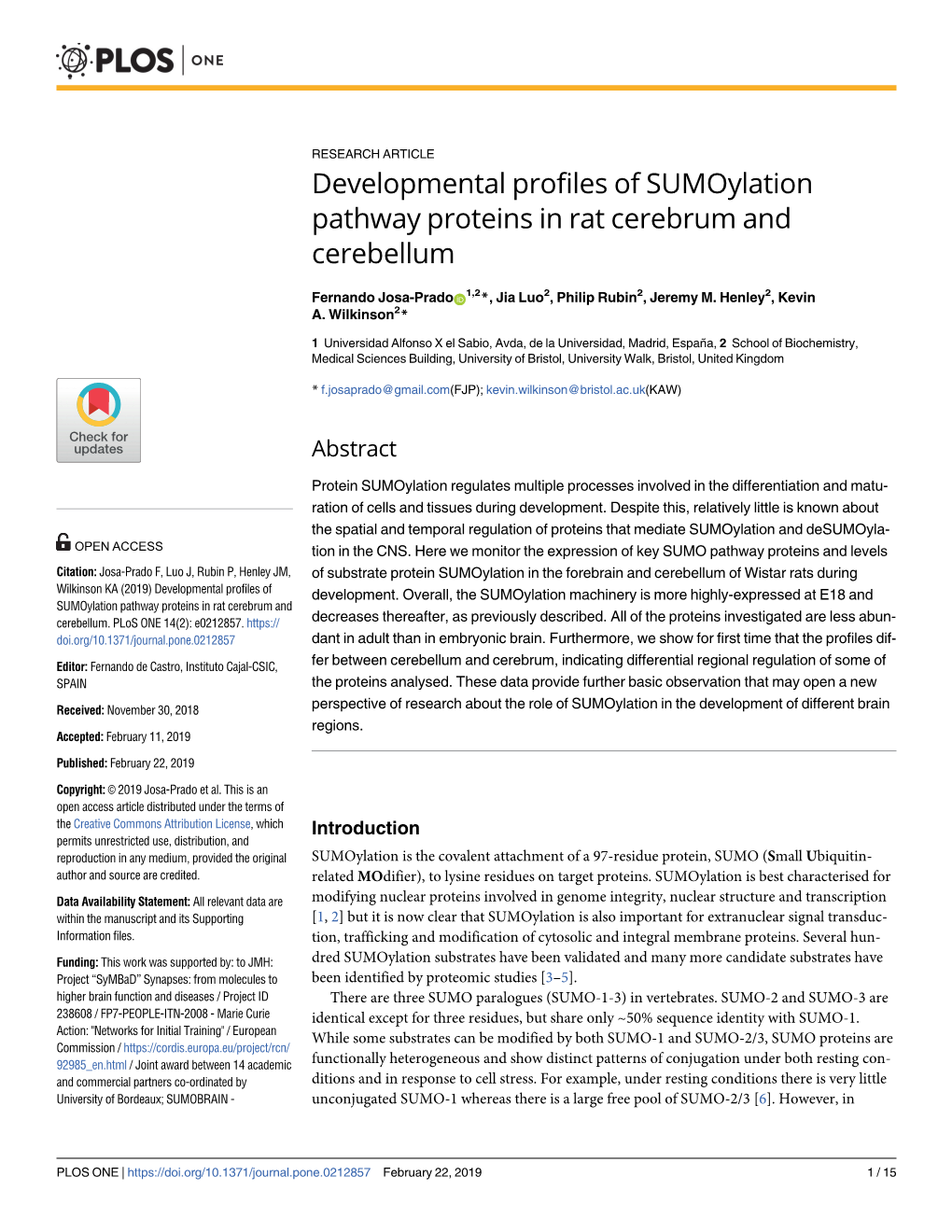 Developmental Profiles of Sumoylation Pathway Proteins in Rat Cerebrum and Cerebellum
