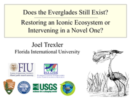 Does the Everglades Still Exist? Restoring an Iconic Ecosystem Or Intervening in a Novel One? Joel Trexler