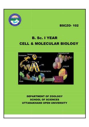 Cell & Molecular Biology