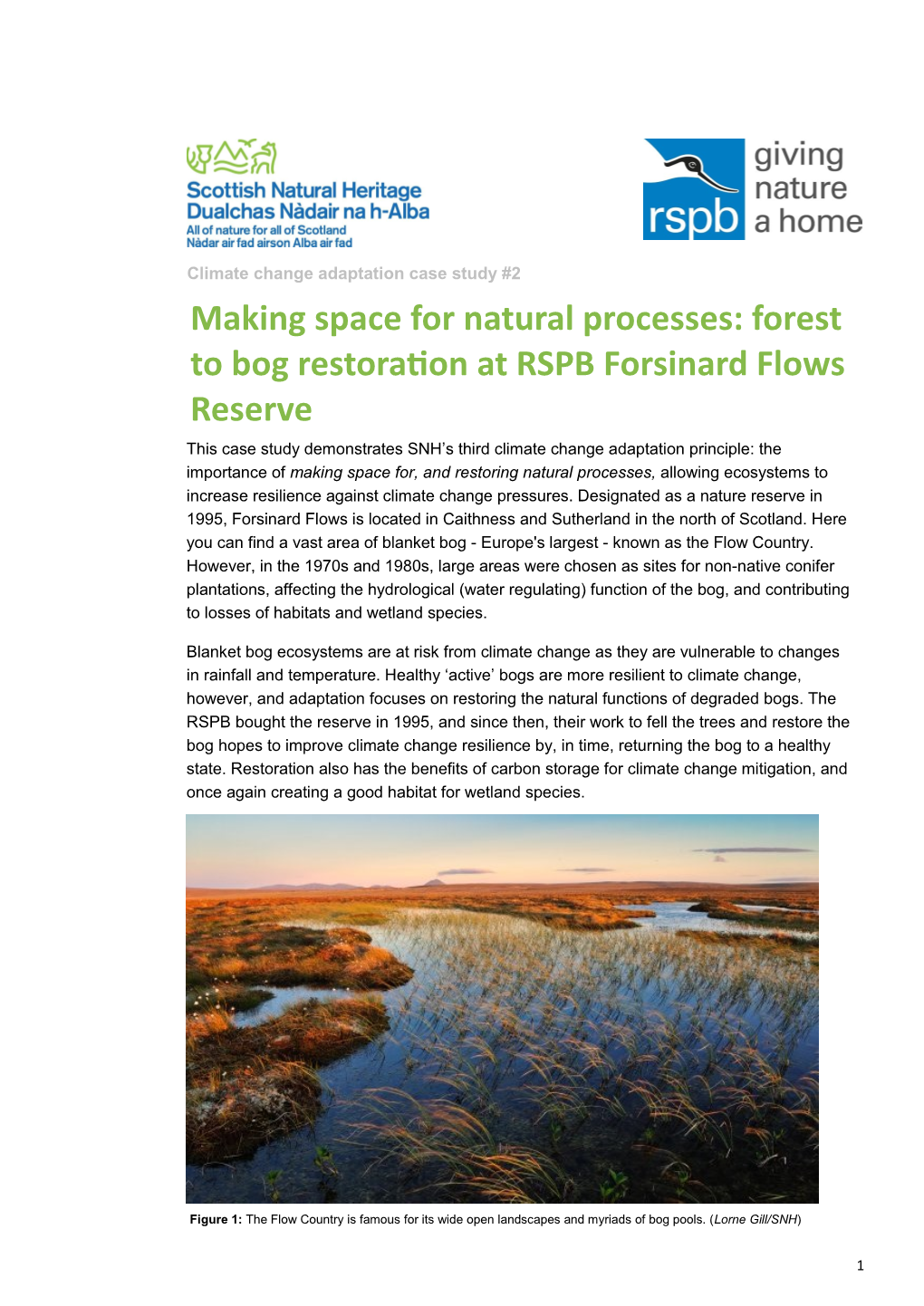 Forest to Bog Restoration at RSPB Forsinard Flows Reserve
