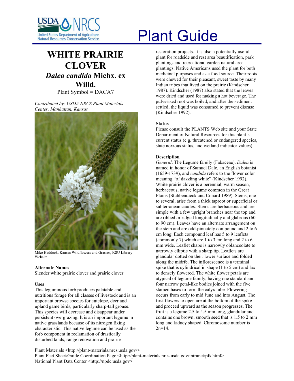 White Prairie Clover Is a Perennial, Warm Season, Herbaceous, Native Legume Common in the Great Plains (Stubbendieck and Conard 1989)