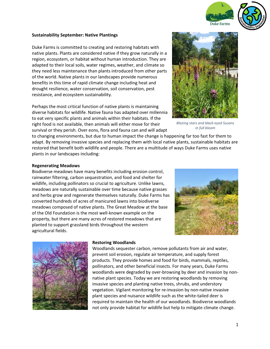 1 Sustainability September: Native Plantings Duke Farms Is Committed