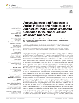 Accumulation of and Response to Auxins in Roots and Nodules of The
