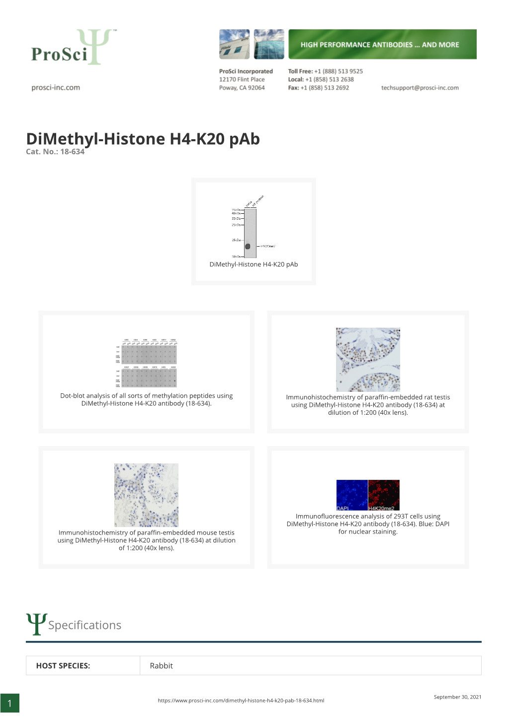 Dimethyl-Histone H4-K20 Pab Cat