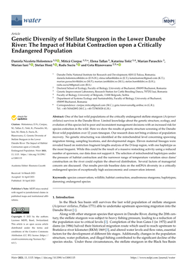 Genetic Diversity of Stellate Sturgeon in the Lower Danube River: the Impact of Habitat Contraction Upon a Critically Endangered Population