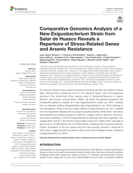 Comparative Genomics Analysis of a New Exiguobacterium Strain from Salar De Huasco Reveals a Repertoire of Stress-Related Genes and Arsenic Resistance