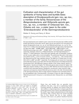 Cultivation and Characterization of the Gut Symbionts of Honey Bees and Bumble Bees: Description of Snodgrassella Alvi Gen