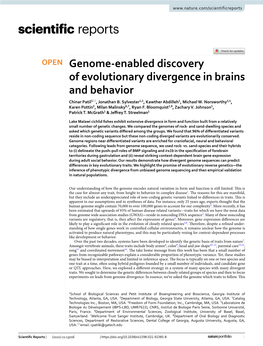 Genome-Enabled Discovery of Evolutionary Divergence in Brains