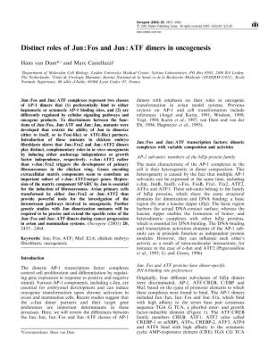 Distinct Roles of Jun : Fos and Jun : ATF Dimers in Oncogenesis