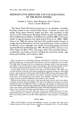 Reproductive Behavior and Vocalizations of the Bonin Petrel