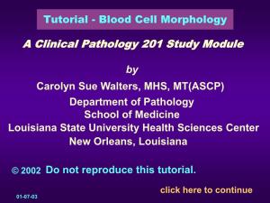 Blood Cell Morphology Tutorial