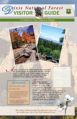 Dixie National Forest Straddles the Divide Between the Great Basin and the Colorado History