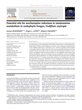 Potential Role for Saccharopine Reductase in Swainsonine Metabolism in Endophytic Fungus, Undiﬁlum Oxytropis
