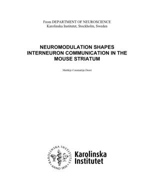 Neuromodulation Shapes Interneuron Communication in the Mouse Striatum