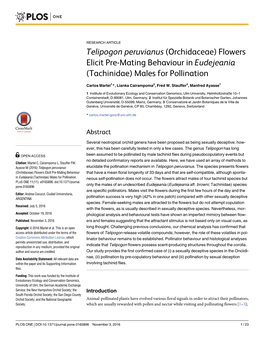 Telipogon Peruvianus (Orchidaceae) Flowers Elicit Pre-Mating Behaviour in Eudejeania (Tachinidae) Males for Pollination