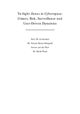 Twilight Zones in Cyberspace: Crimes, Risk, Surveillance and User-Driven Dynamics