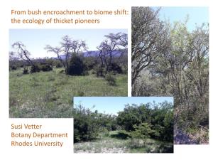 From Bush Encroachment to Biome Shift: the Ecology of Thicket Pioneers