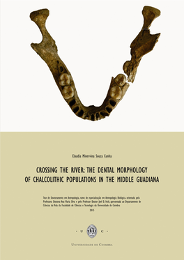 The Dental Morphology of Chalcolithic Populations in the Middle Guadiana