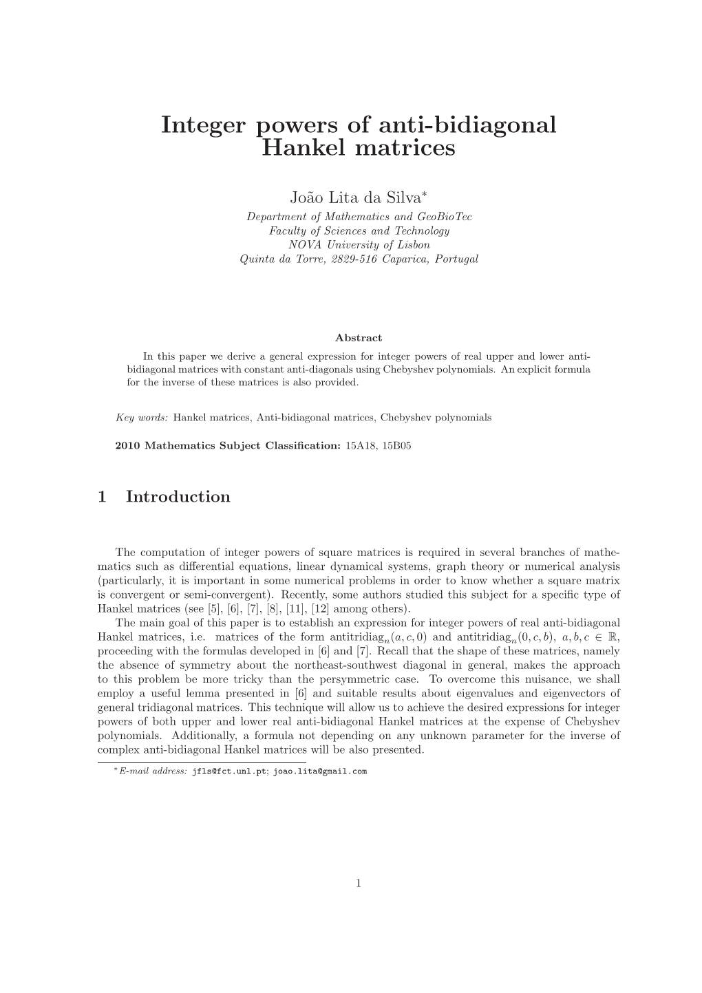 Integer Powers of Anti-Bidiagonal Hankel Matrices