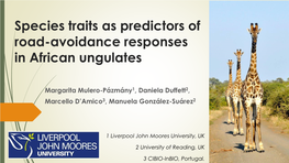 Species Traits As Predictors of Road-Avoidance Responses in African Ungulates