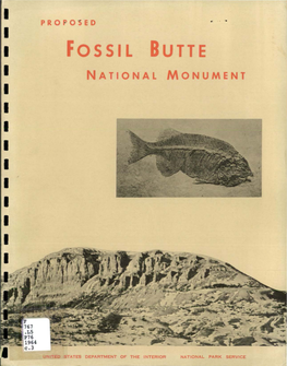 Fossil BUTTE
