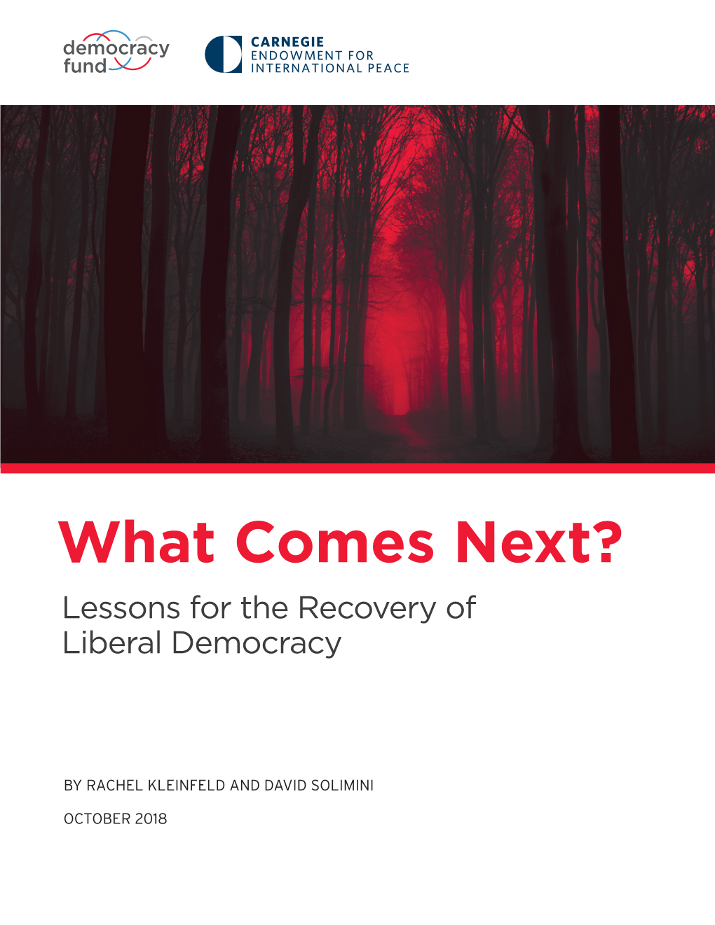 What Comes Next? Lessons for the Recovery of Liberal Democracy