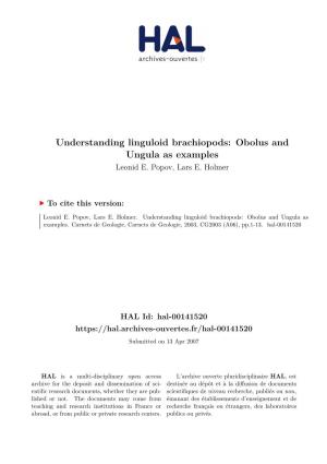 Understanding Linguloid Brachiopods: Obolus and Ungula As Examples Leonid E