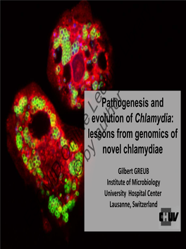 Lessons from Genomics of Novel Chlamydiae