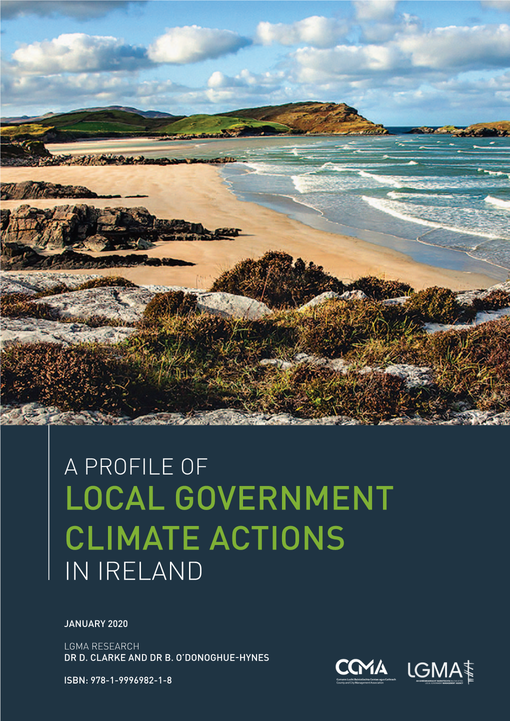 A Profile of Local Government Climate Actions in Ireland
