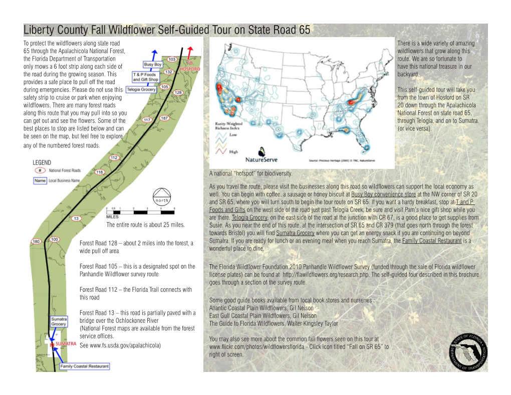 Liberty County Fall Wildflower Self-Guided Tour on State Road 65