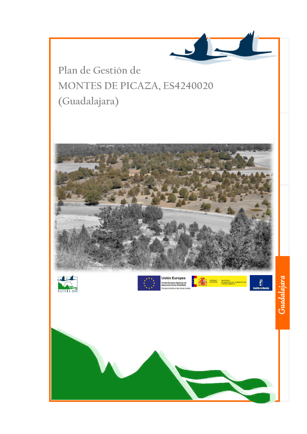 Plan De Gestión De MONTES DE PICAZA, ES4240020 (Guadalajara)