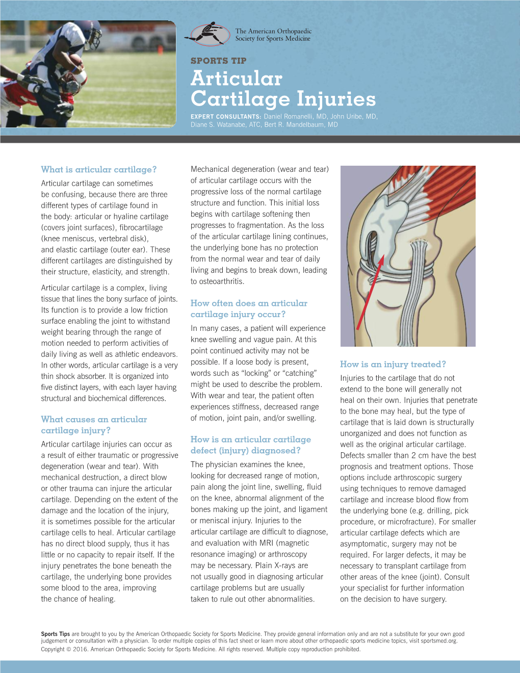 Articular Cartilage Injuries EXPERT CONSULTANTS: Daniel Romanelli, MD, John Uribe, MD, Diane S