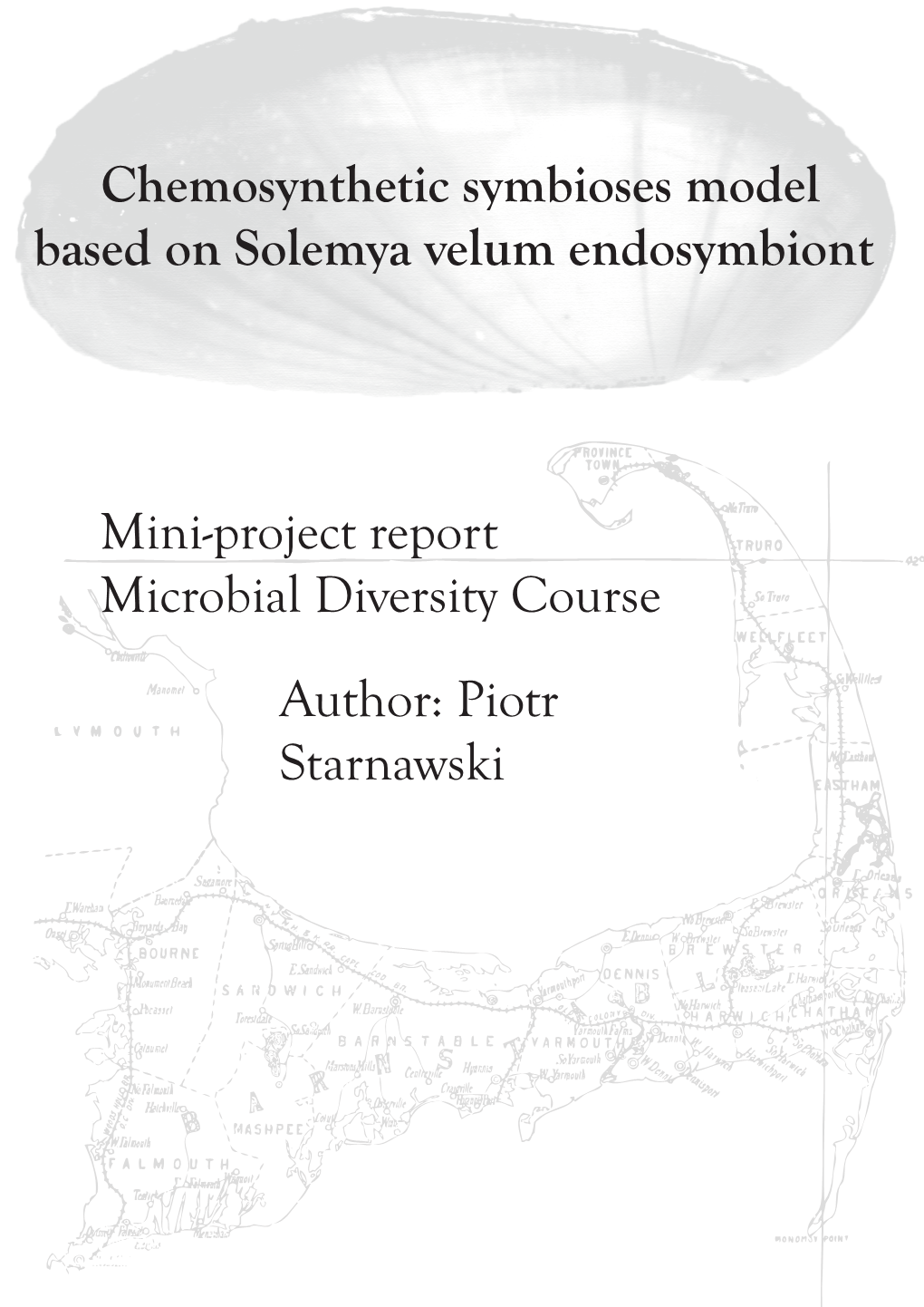 Chemosynthetic Symbioses Model Based on Solemya Velum Endosymbiont