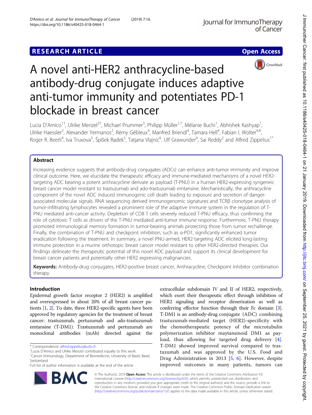 A Novel Anti-HER2 Anthracycline-Based Antibody-Drug