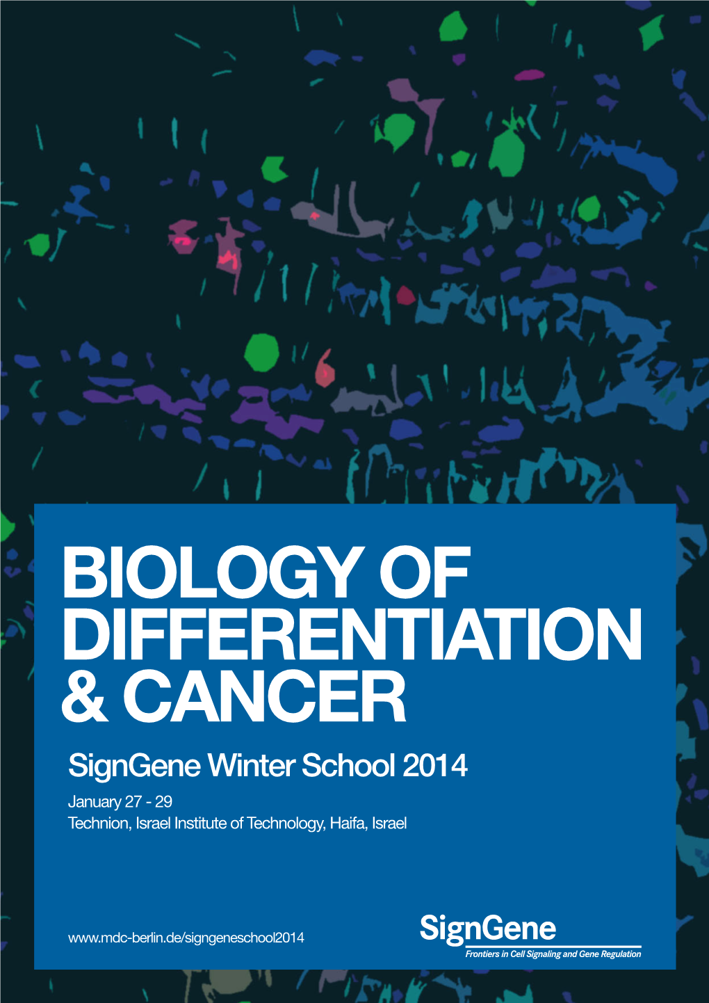 Biology of Differentiation & Cancer