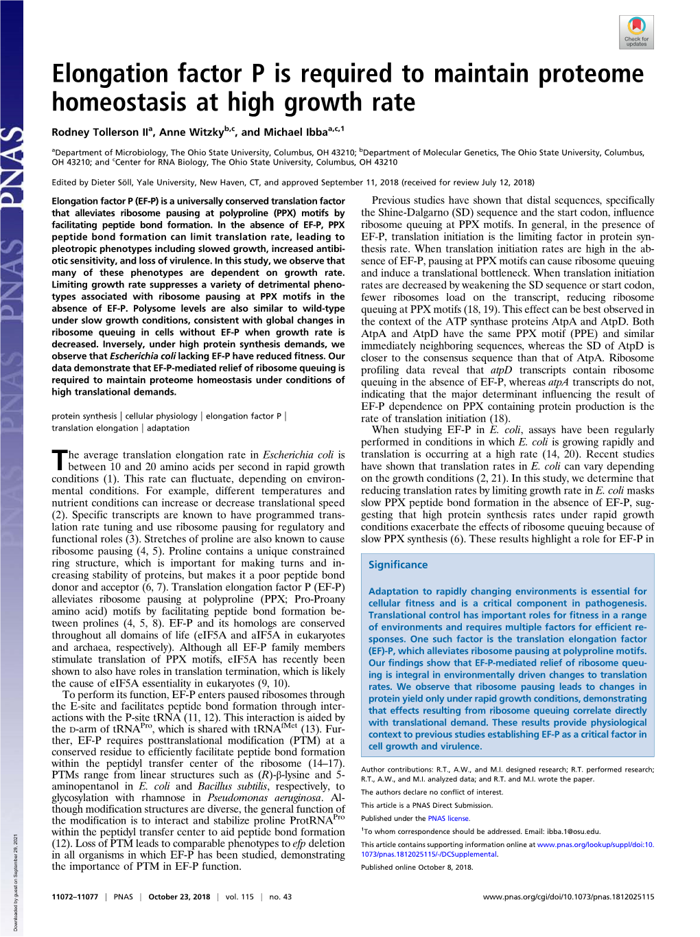 Elongation Factor P Is Required to Maintain Proteome Homeostasis at High Growth Rate