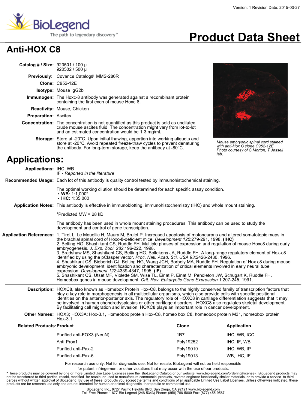 Product Data Sheet Anti-HOX C8