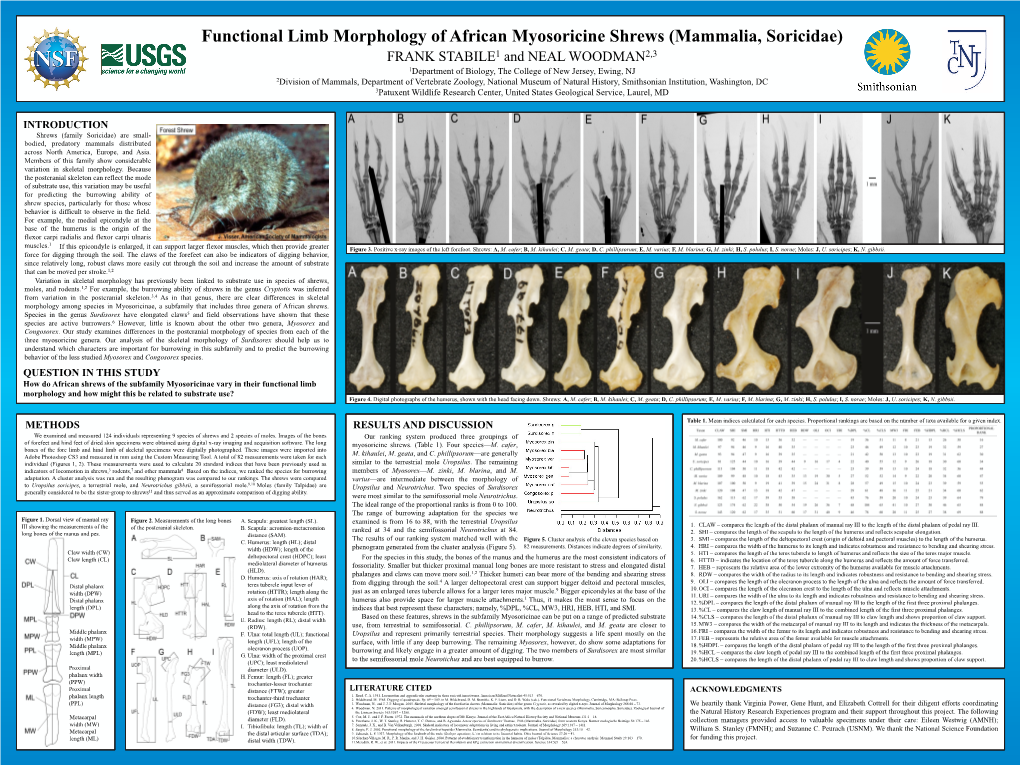 Functional Limb Morphology of African Myosoricine Shrews (Mammalia