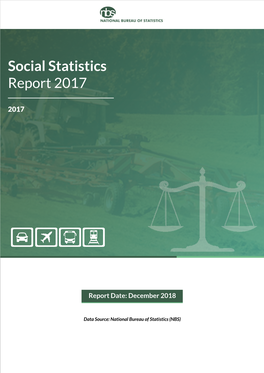 Social Statistics Report 2017