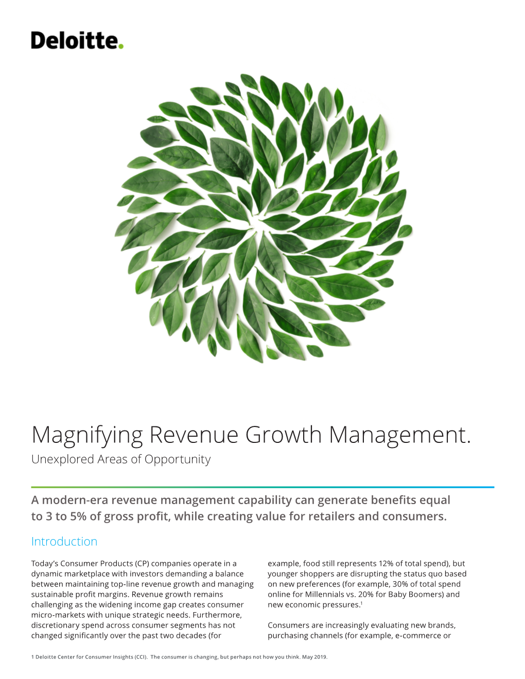 Magnifying Revenue Growth Management. Unexplored Areas of Opportunity