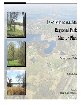 Lake Minnewashta Regional Park Master Plan