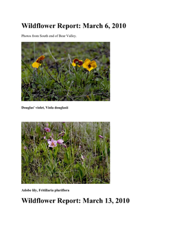 Wildflower Report: March 6, 2010