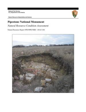 Natural Resource Condition Assessment, Pipestone National