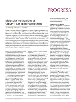 Molecular Mechanisms of CRISPR–Cas Spacer Acquisition