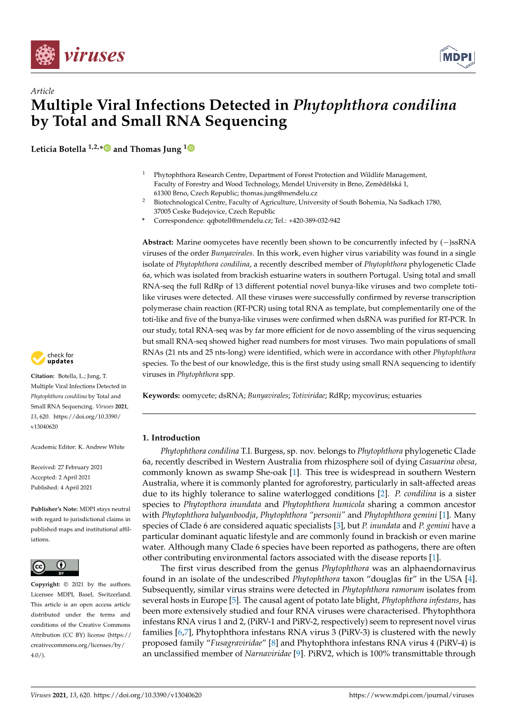 Multiple Viral Infections Detected in Phytophthora Condilina by Total and Small RNA Sequencing