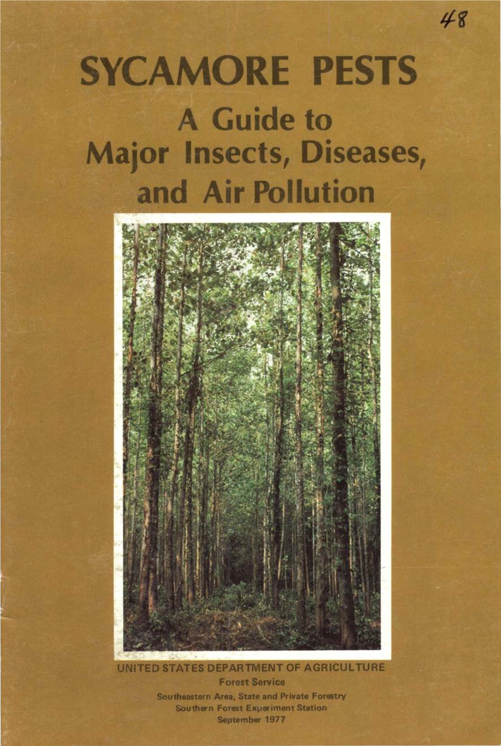 SYCAMORE PESTS a Guide to Major Insects, Diseases, and Air Pollution
