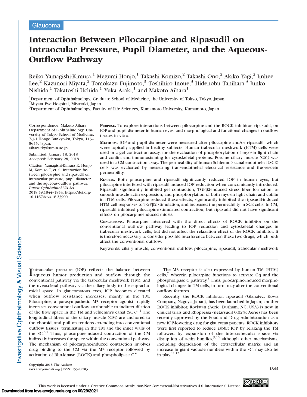 Interaction Between Pilocarpine and Ripasudil on Intraocular Pressure, Pupil Diameter, and the Aqueous- Outﬂow Pathway