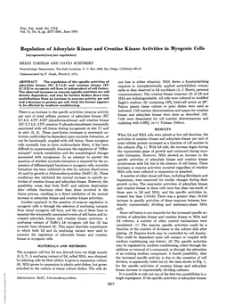 Regulation of Adenylate Kinase and Creatine Kinase Activities In