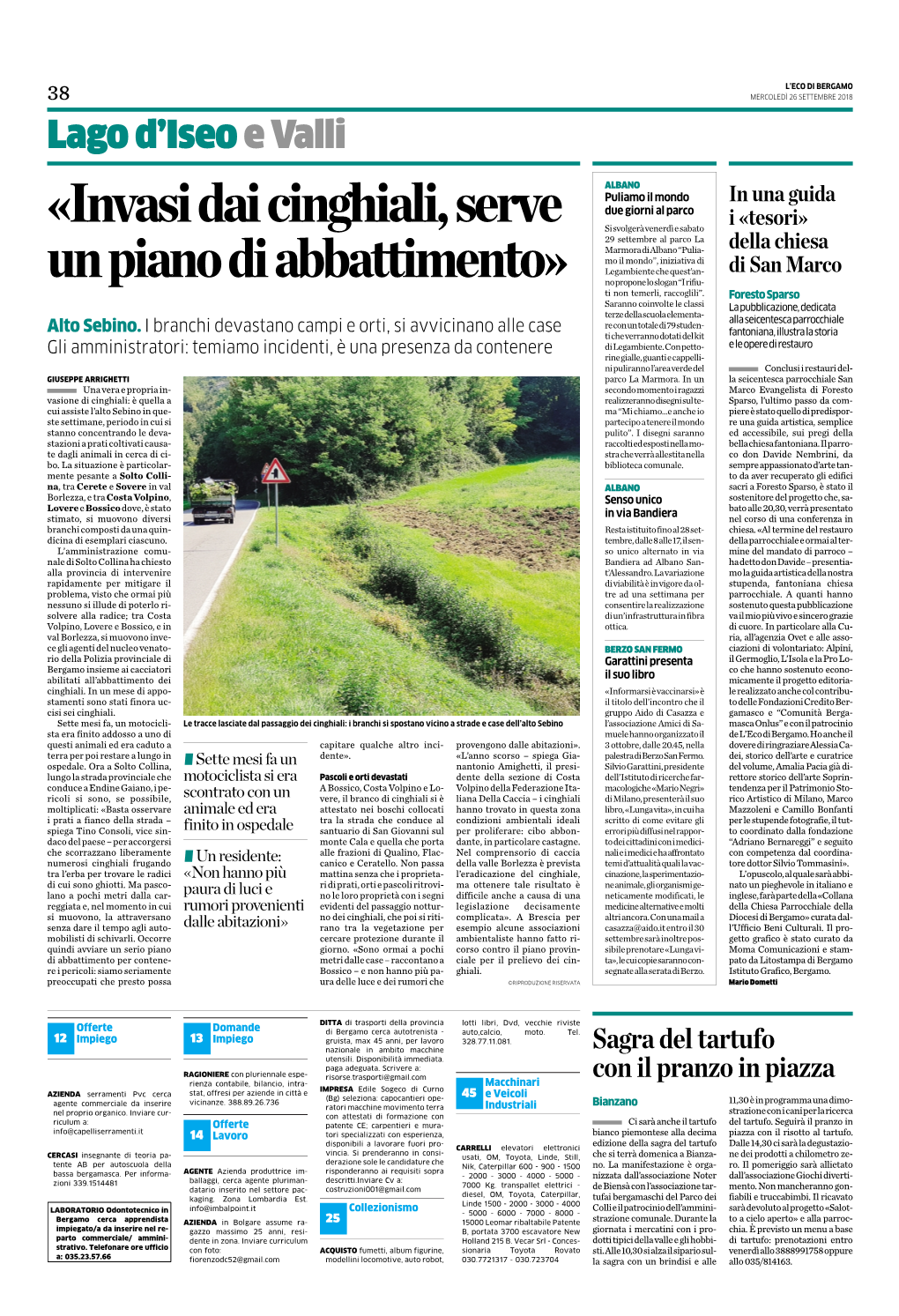 «Invasi Dai Cinghiali, Serve Un Piano Di Abbattimento»